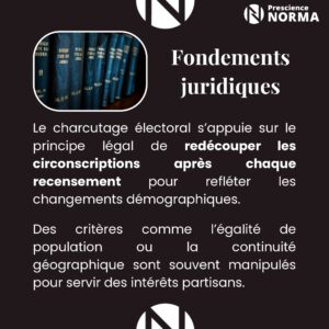 Charcutage électoral - Norma-Project (1)_page-0003